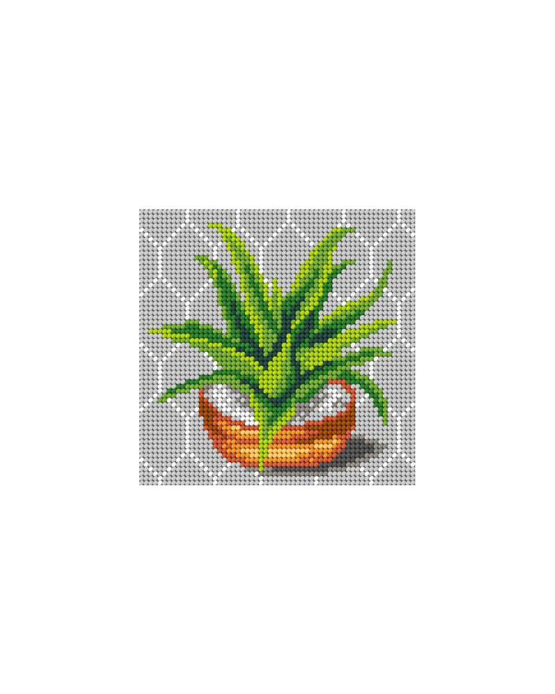 Schemat do haftu Aloes