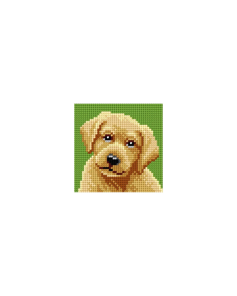 Zestaw do haftu gobelinowego obrazek – Labrador